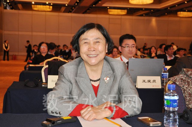 中国水泥协会副会长曾学敏出席会议